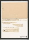 Thalassiothrix frauenfeldii Grun. (de-Toni-Nr.: Genus 67, Species 2669) Zeichnungen Sammlung Grunow (NHMW-BOT-W0373855)